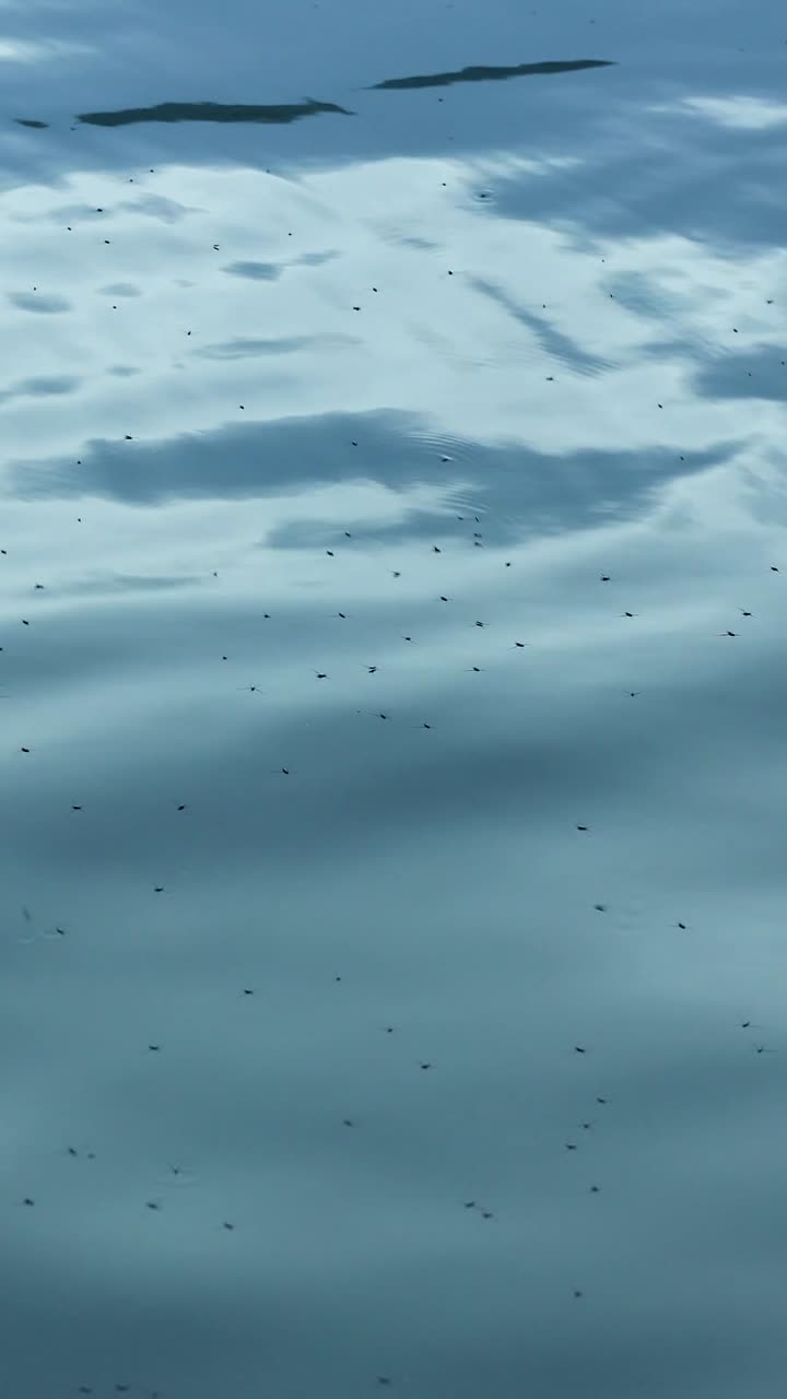 Et rolig vertikalt bilde av myke blå bølger og milde krusninger på en fredelig overflate