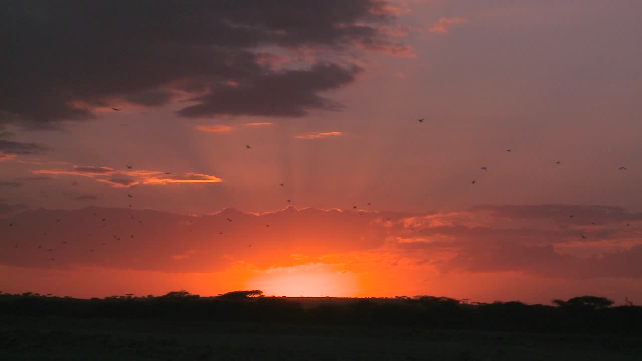 una escena del atardecer en las llanuras de áfrica