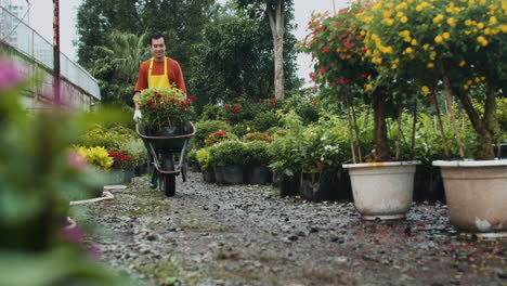 gardener using a wheelbarrow indoors