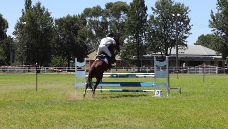 horse and rider jumping over an obstacle