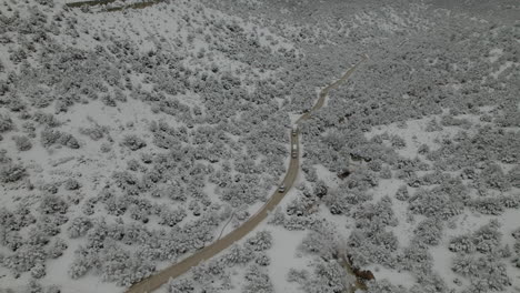 vehicles driving in the road along the snow-covered mountains and trees in utah