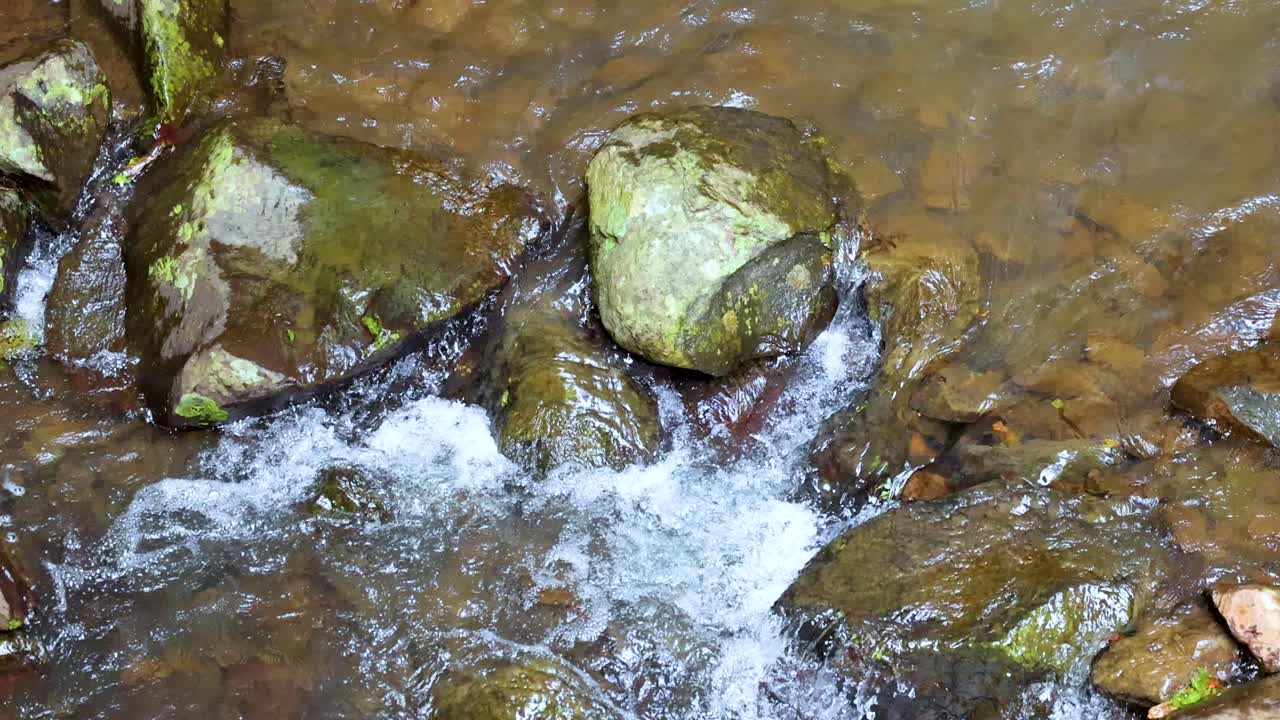 Small Creek with Rocks and Moss