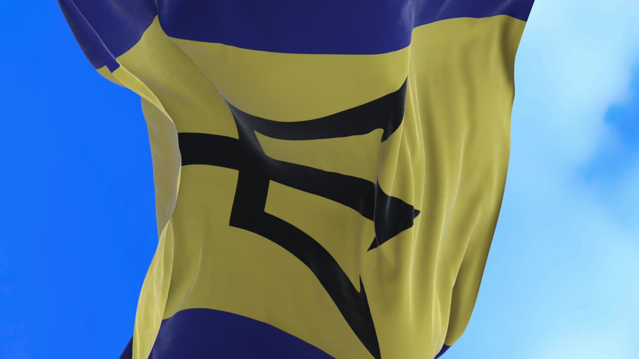 바르바도스 발의 끊임없는 루프.