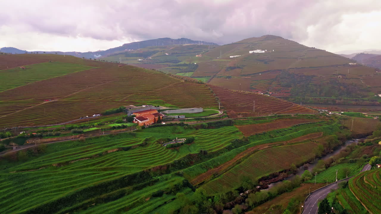 Vista aerea di colline coltivate che formano terrazze ordinate su pendii verdi
