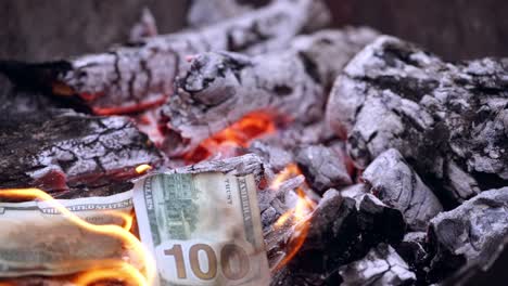 torn money burning on fire. embers of burnt-out fire and two parts of american money falling into it. torn banknote of one hundred dollars burning. close-up.
