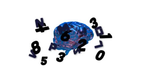 multiple numbers and alphabets floating against human brain spinning on white background