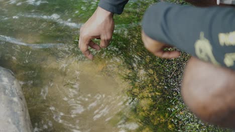 a man searches for something in a shallow stream of water