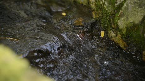 Winziger-Wasserstrom,-Der-Den-Felsen-Hinunterläuft