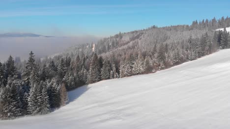 aerial flight over snowed in winter landscape with forest and bue sky