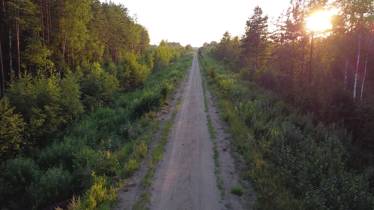 Vista aerea di una strada forestale tecnica per la ricreazione e il disboscamento.