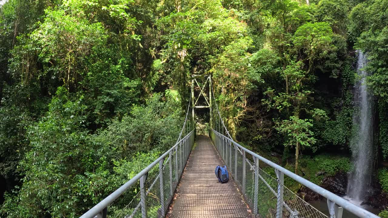 A serene walk across a suspension bridge in lush Dorrigo rainforest, with cascading waterfall and vibrant greenery