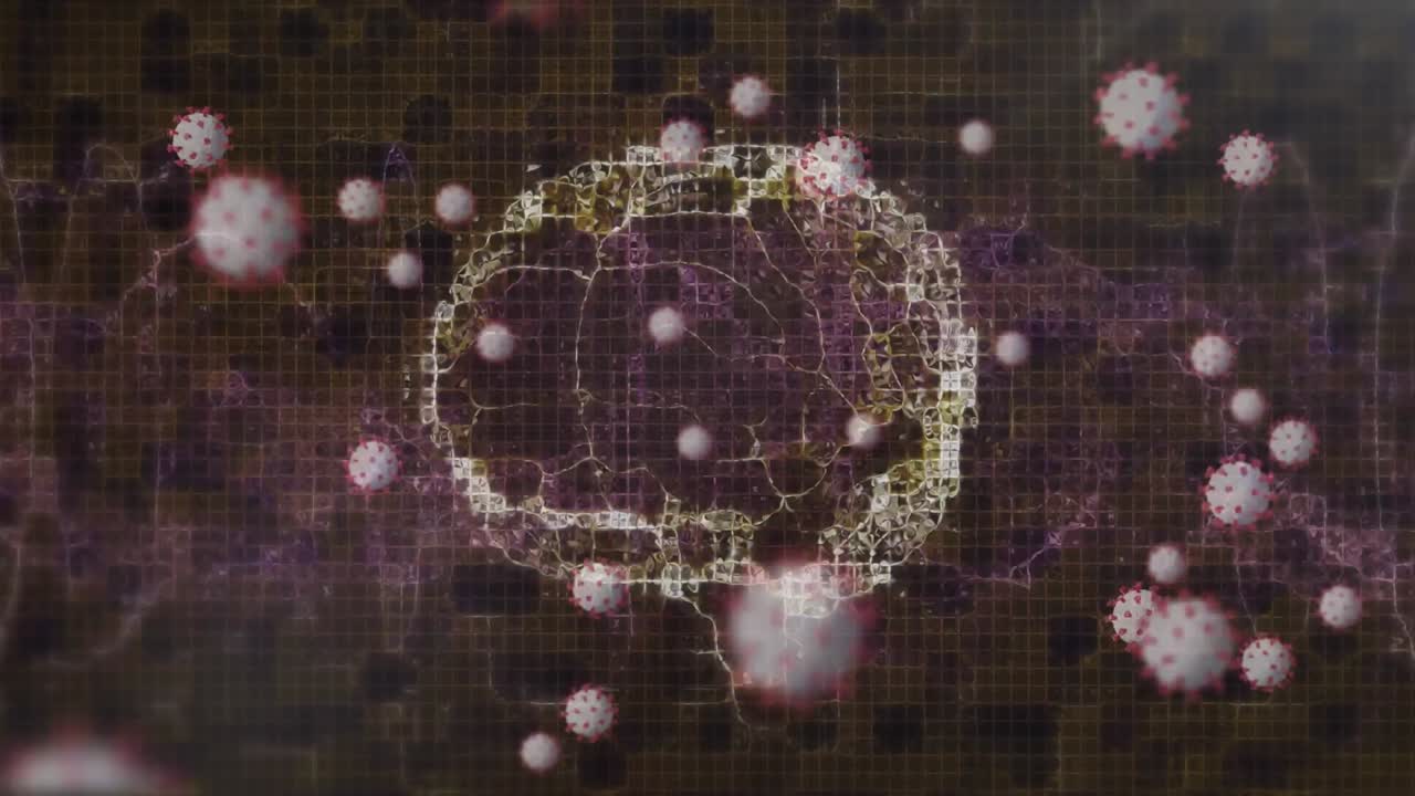 인간의 뇌 위에 떠다니는 여러 코로나19 세포의 디지털 애니메이션이 검은 바탕에 회전하고 있습니다.