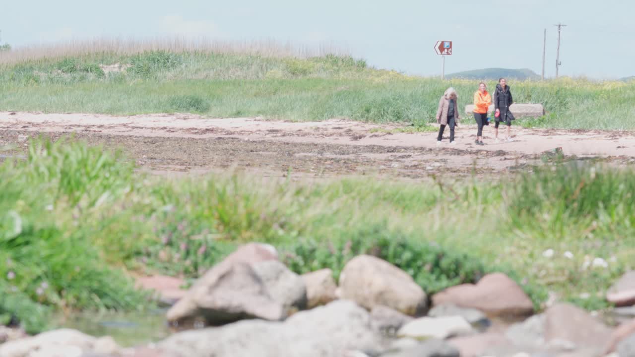 Exercising lifestyles, nature walks, sandy beach, family pet outings