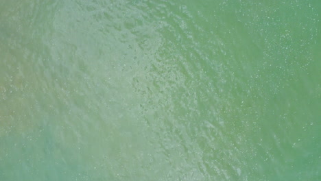 A-downward-aerial-view-drifts-over-a-turquoise-sea-and-past-small-waves-breaking-on-to-an-olive-brown-rocky-seashore-covered-in-seaweed