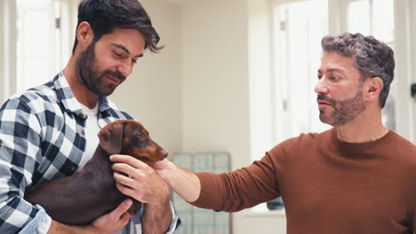 pareja masculina del mismo sexo en casa en la cocina acariciando a su mascota perro dachshund