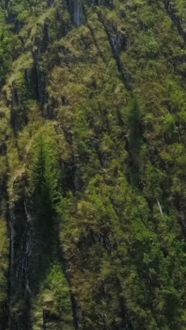 mountain landscape with vegetation