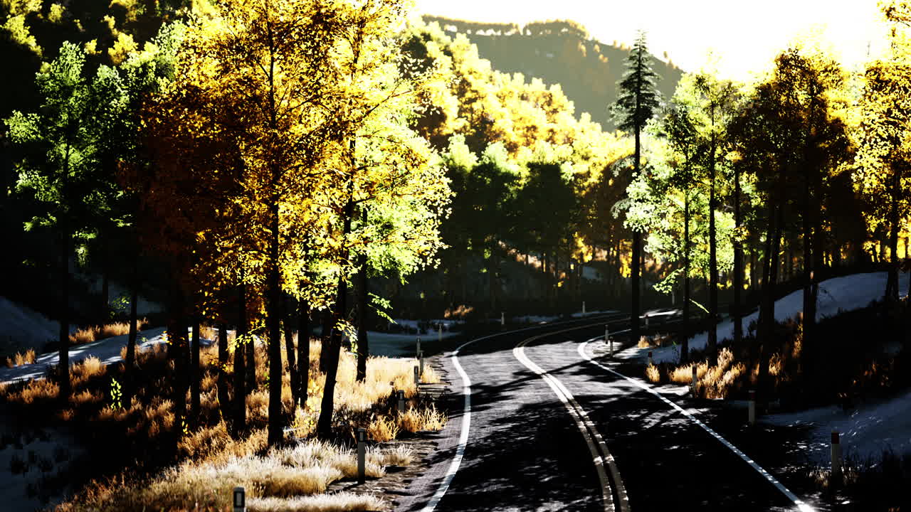 산 숲 을 가로질러 가는 가을 길