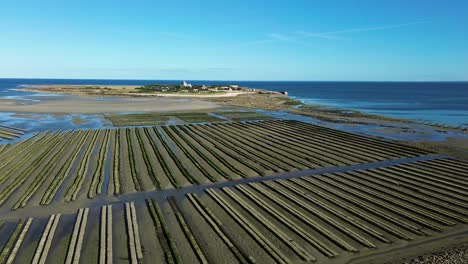 drone footage captures tatihou island bathed in sunlight, surrounded by turquoise waters, with an expansive view of the huge oyster farms lining the shore