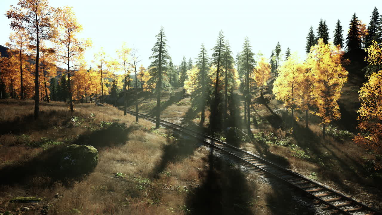 숲 속의 가을 철도