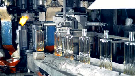 newly-shaped glass bottles are relocating from the glass-forming machine onto the conveyor belt