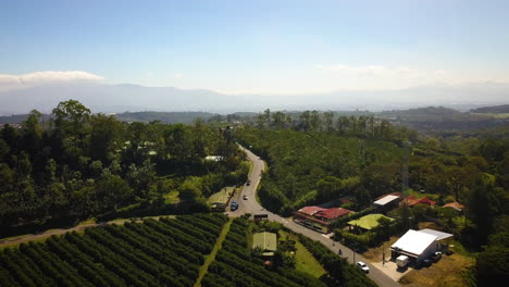 cars driving on a road in a small plantation village