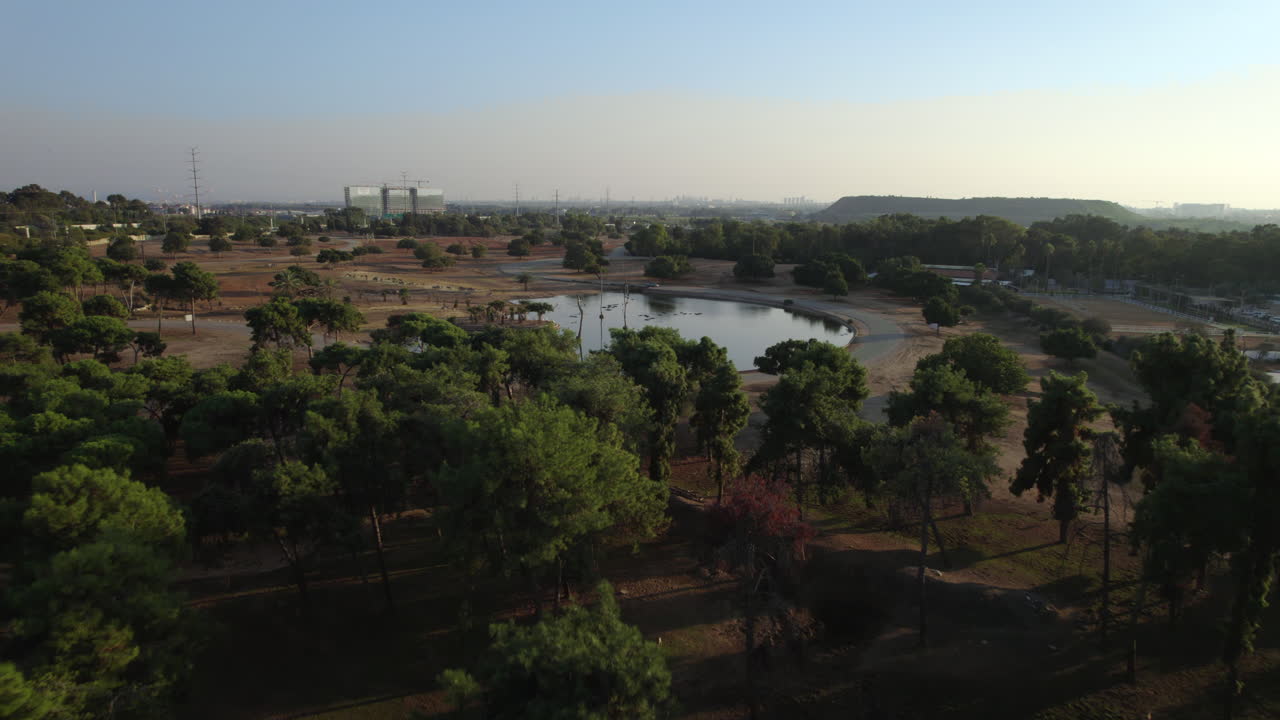 revealing of a family of hippos resting in the pond in the afternoon above Ramat Gan Safari when it is empty of visitors above the trees - rising up top down shot
