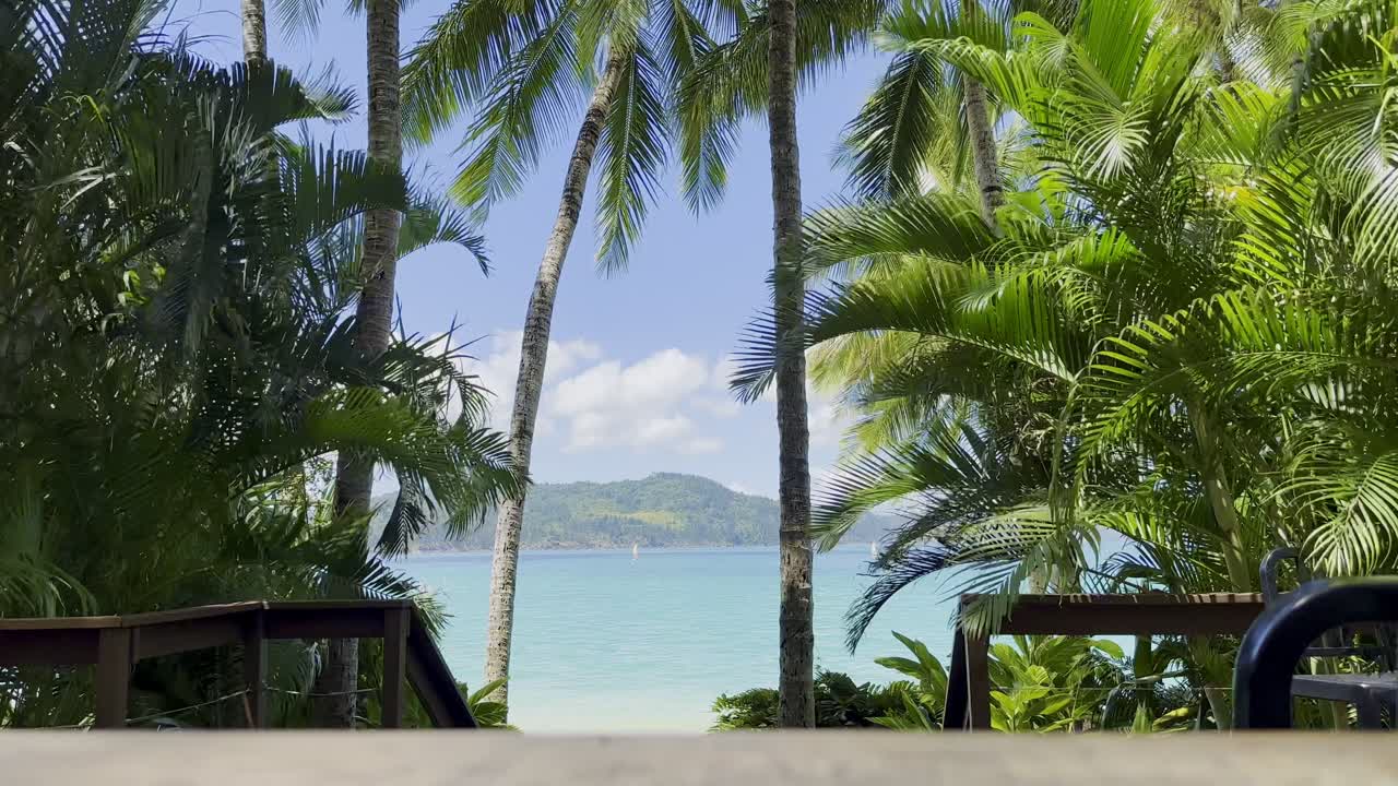 Wide Crystal-clear aqua ocean, sandy beach, palm trees - table view Hamilton Island, Whitsundays,