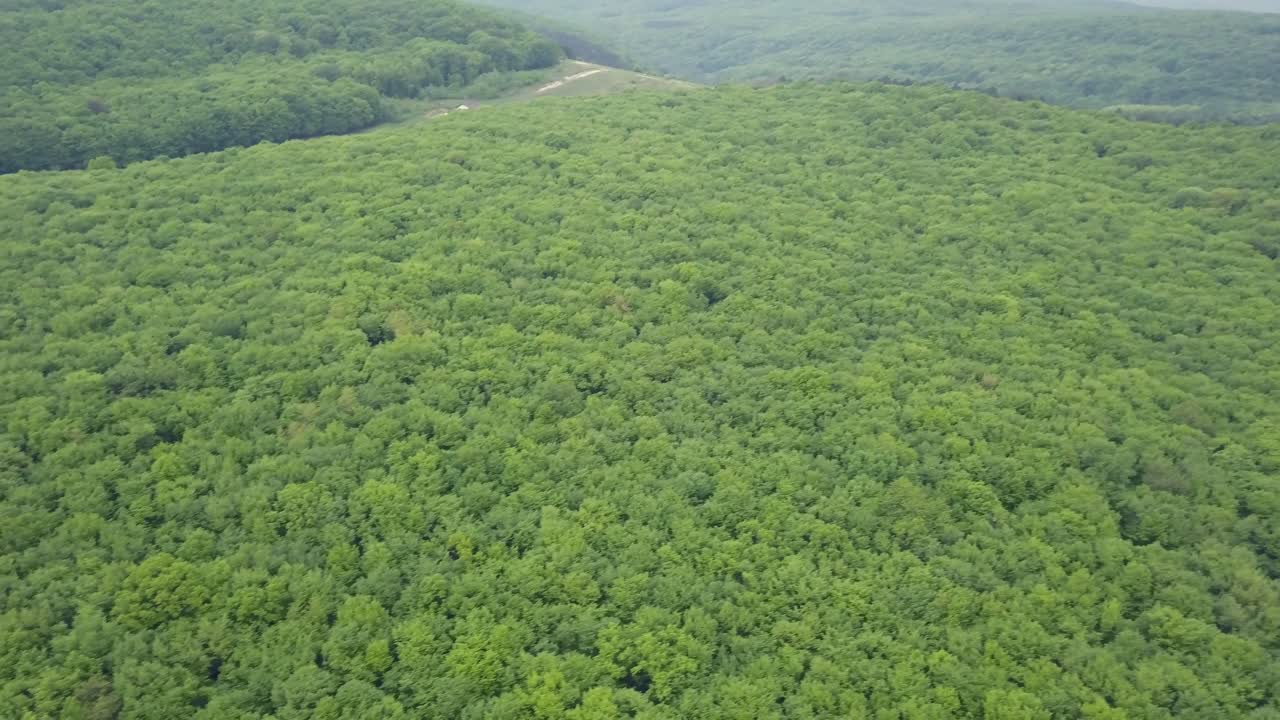 bosque verde mixto muy denso - vista desde arriba, imágenes aéreas sin espacios, muy estrechas