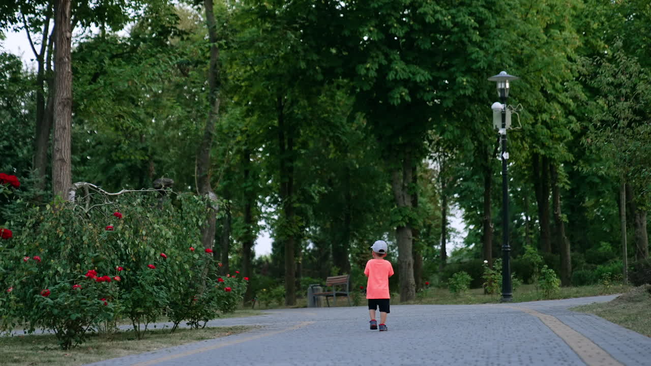 Rear view of a boy walking by the alley in the park. Little kid outdoors in summer.