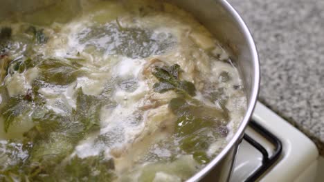 soup simmering on the stove