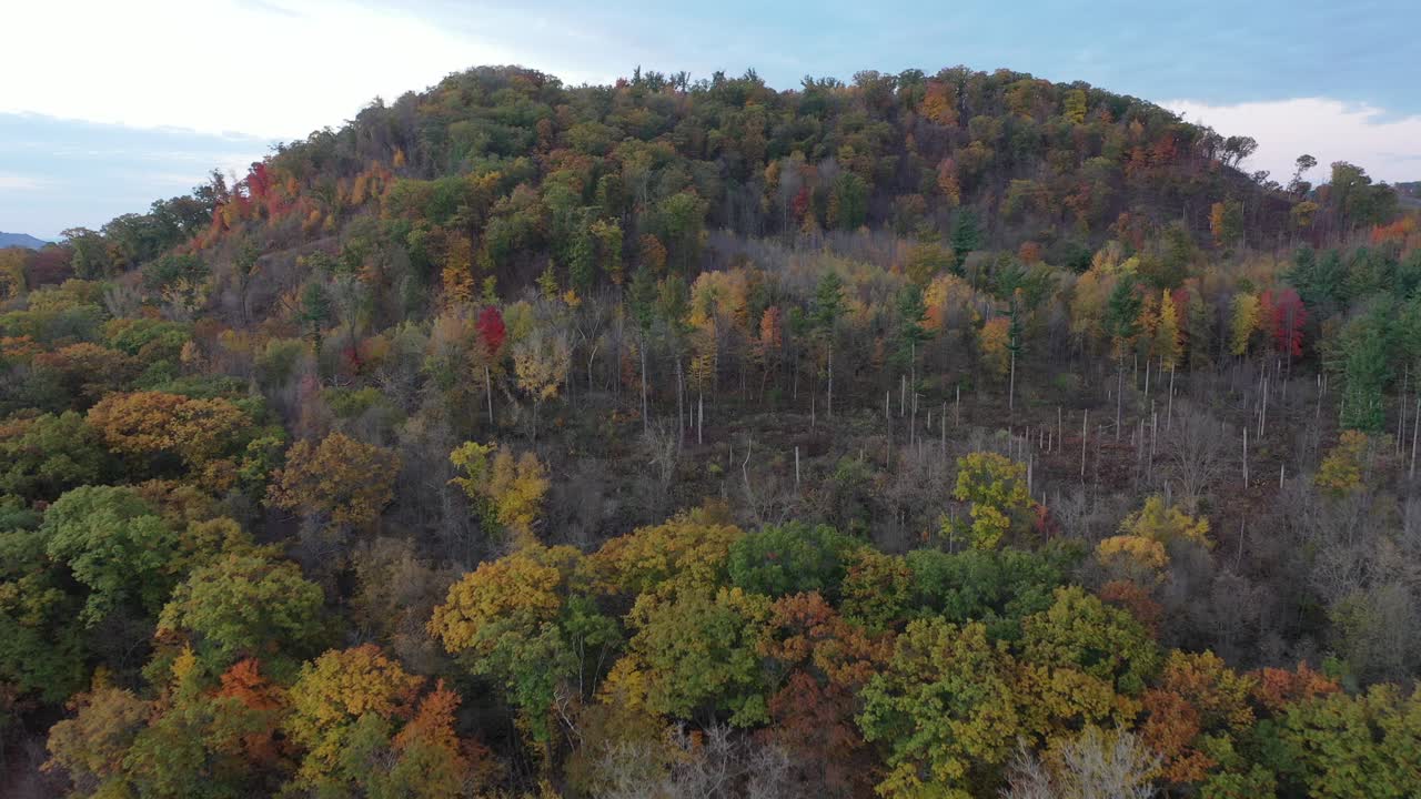 el follaje de otoño pasa por alto