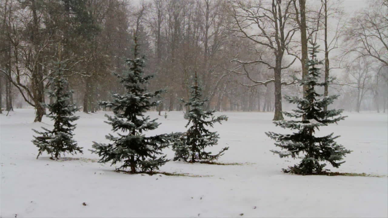 caen fuertes nevadas en un parque de la ciudad