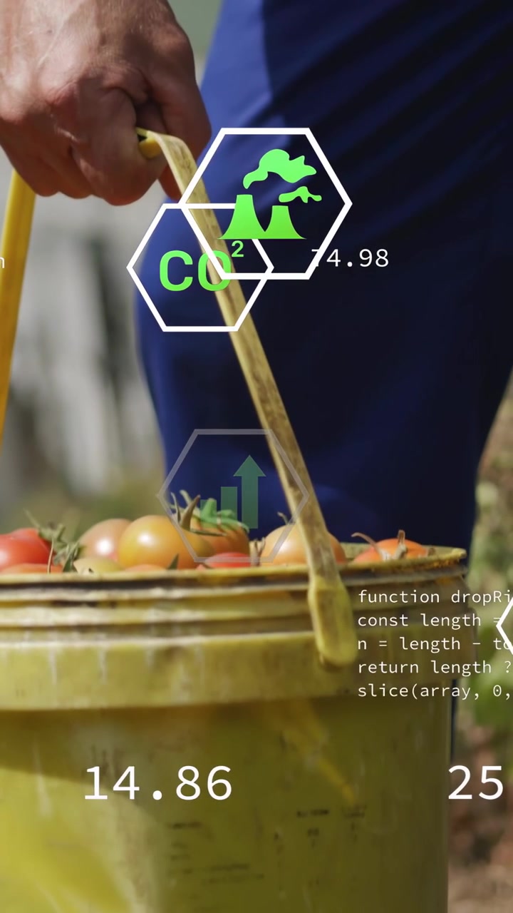 Video verticale: Contadino che solleva un secchio, lo riempie di pomodori con metriche ecologiche sovrapposte, e lo trasporta