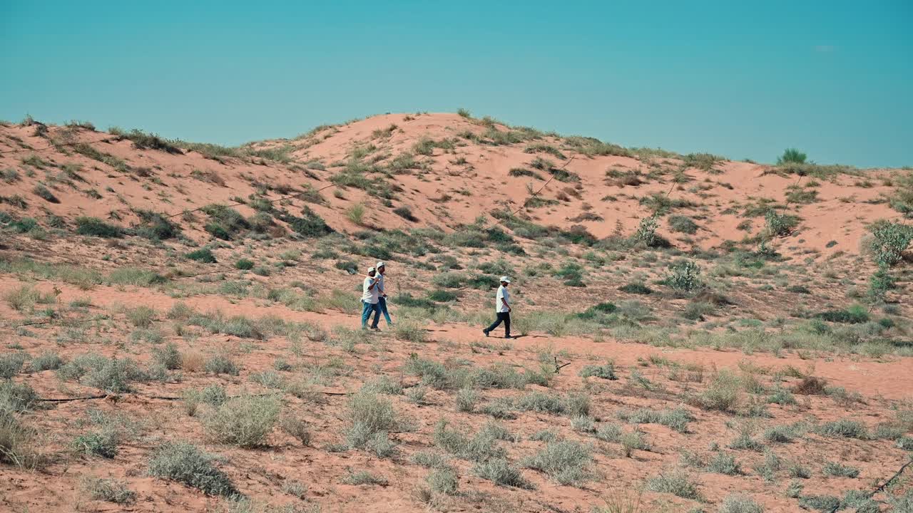 The Arabian desert landscape in the UAE, featuring patches of green plants and trees