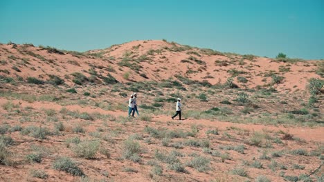 the arabian desert landscape in the uae, featuring patches of green plants and trees