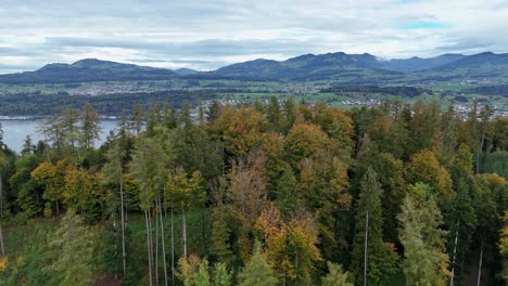 Lake-Zurich-in-Switzerland