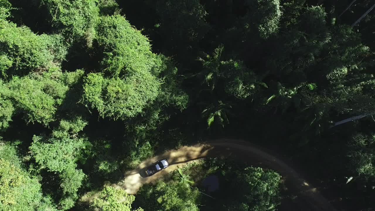 toma aérea de un coche conduciendo por un camino forestal