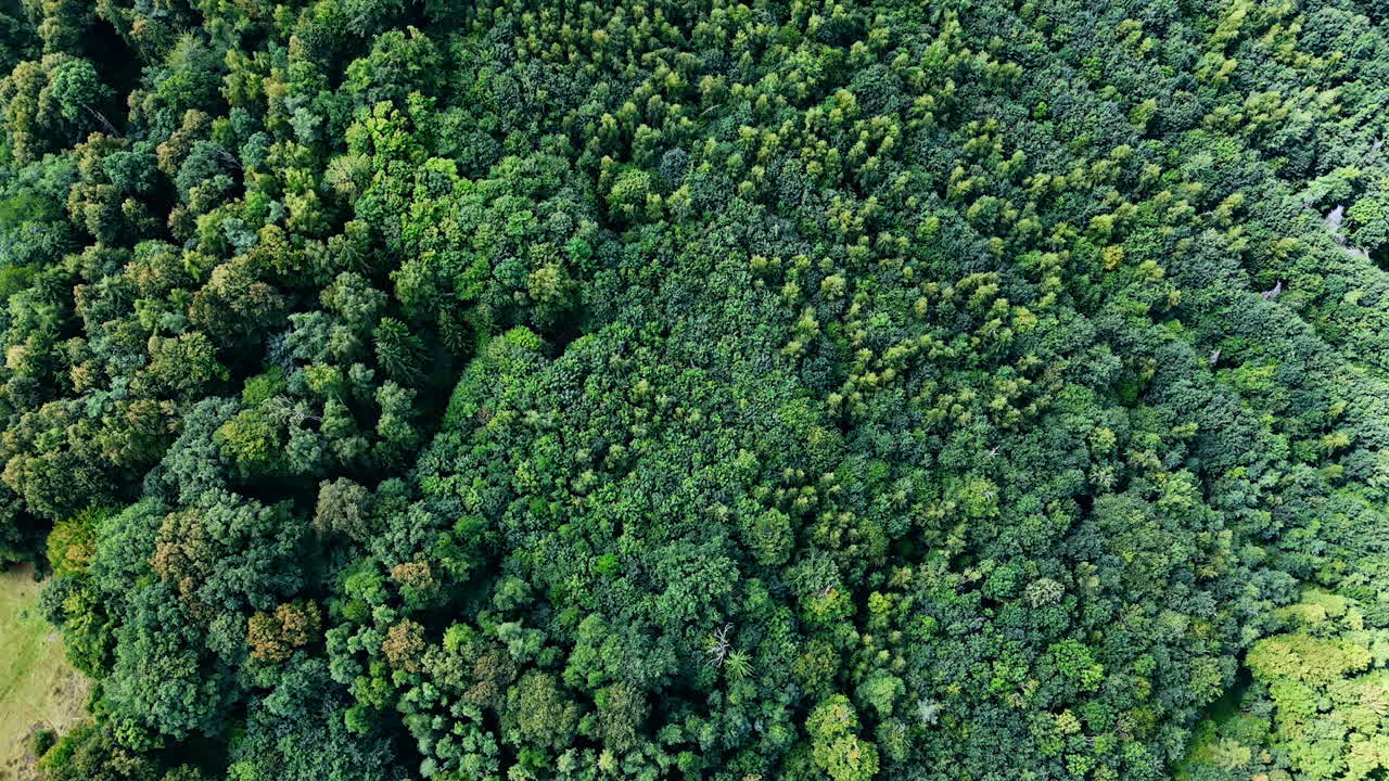 Aerial view of hill ridge and forest in countryside. Drone landscape showing dry hill slopes and forest with distant villages and fields