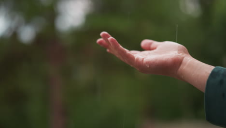 hand catching raindrops in the rain