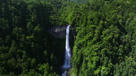 la inclinación revela la toma de la cascada de nachi, la más grande de japón