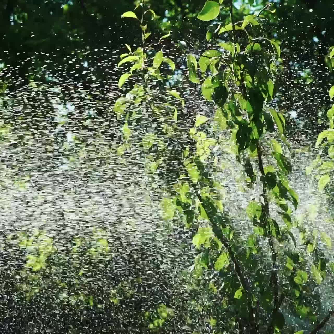 Spraying water over garden