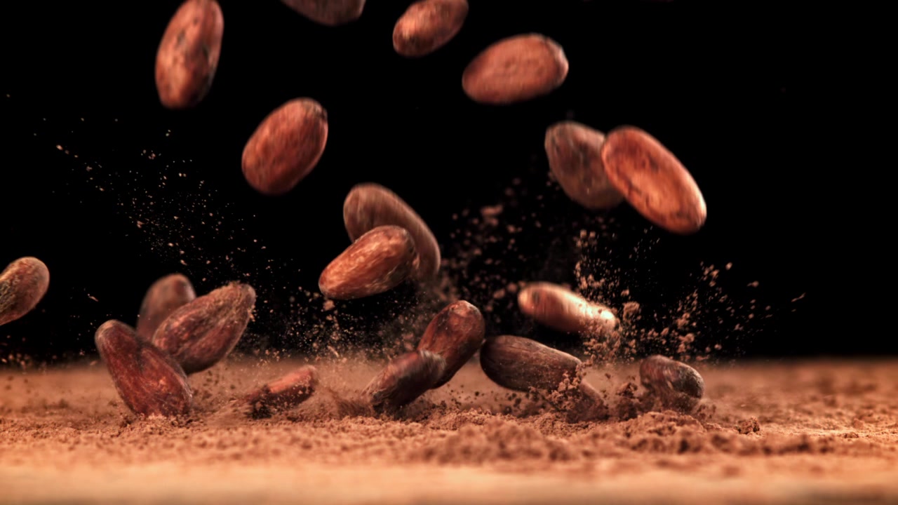 Slow Motion of Cocoa Beans Falling onto Cocoa Powder