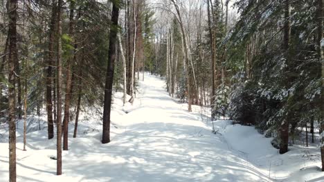 ground level drone view of a snow covered pathway in a forest on a sunny winter day