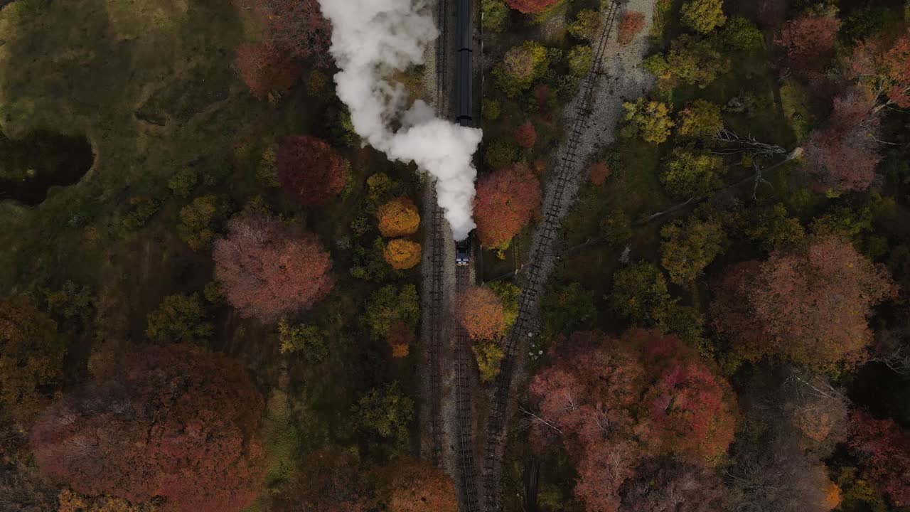 가을 에 숲 을 가로질러 가는 증기 열차 의 공중 전망