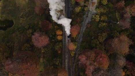 aerial view of a steam train going through a forest in autumn