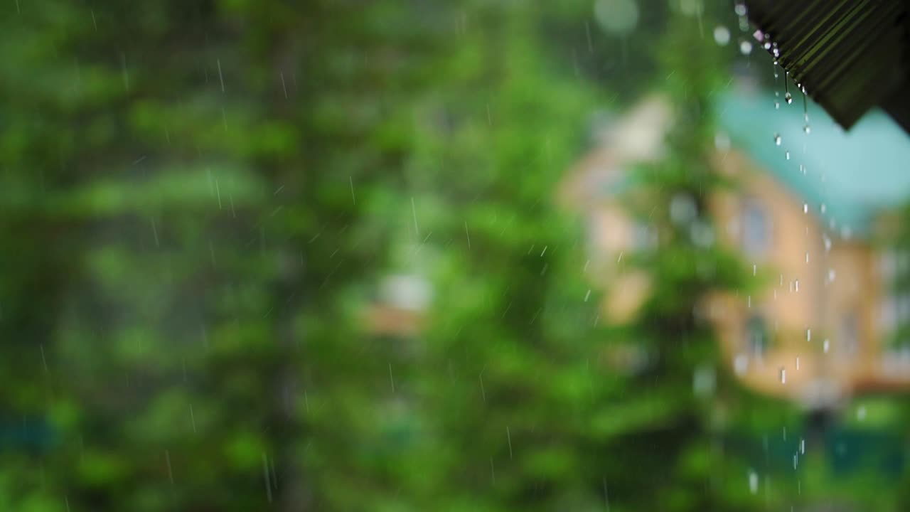 Rain Falling on a Roof with Forest Background
