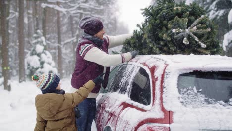 man with son packing christmas tree into roof of car