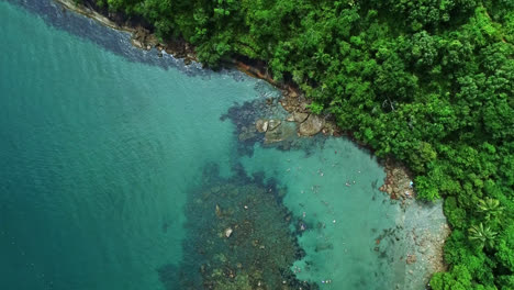 aerial birdseye shot of calm turquoise sea on coast of ubatuba, brazil