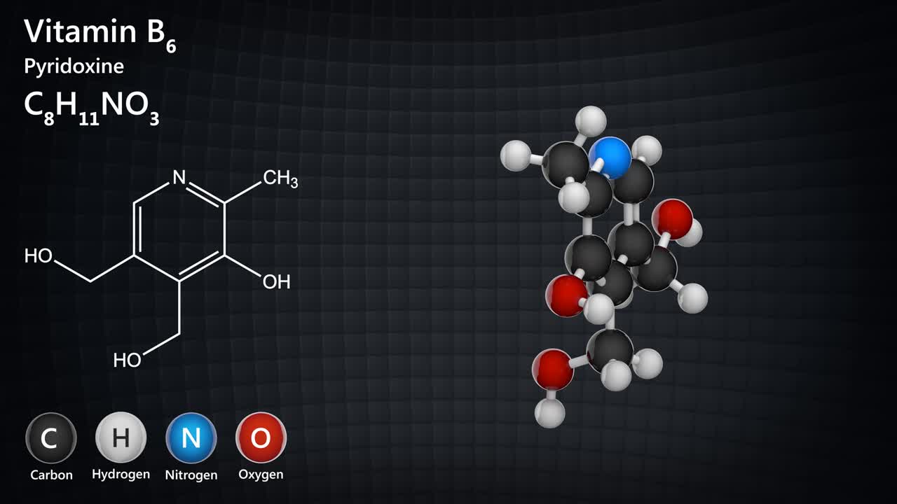 비타민 b6 (pyridoxine) 의 원활한 순환