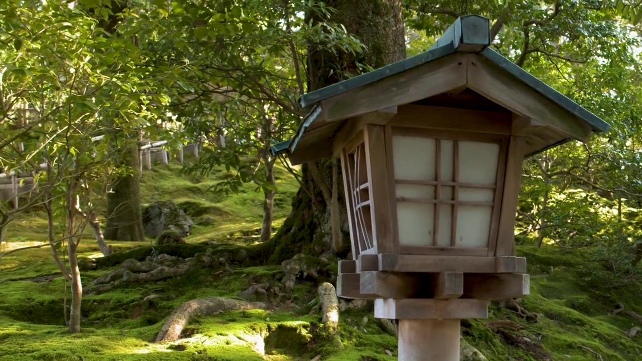 A wooden toro lantern stands amidst vibrant green moss and trees in a Japanese garden.